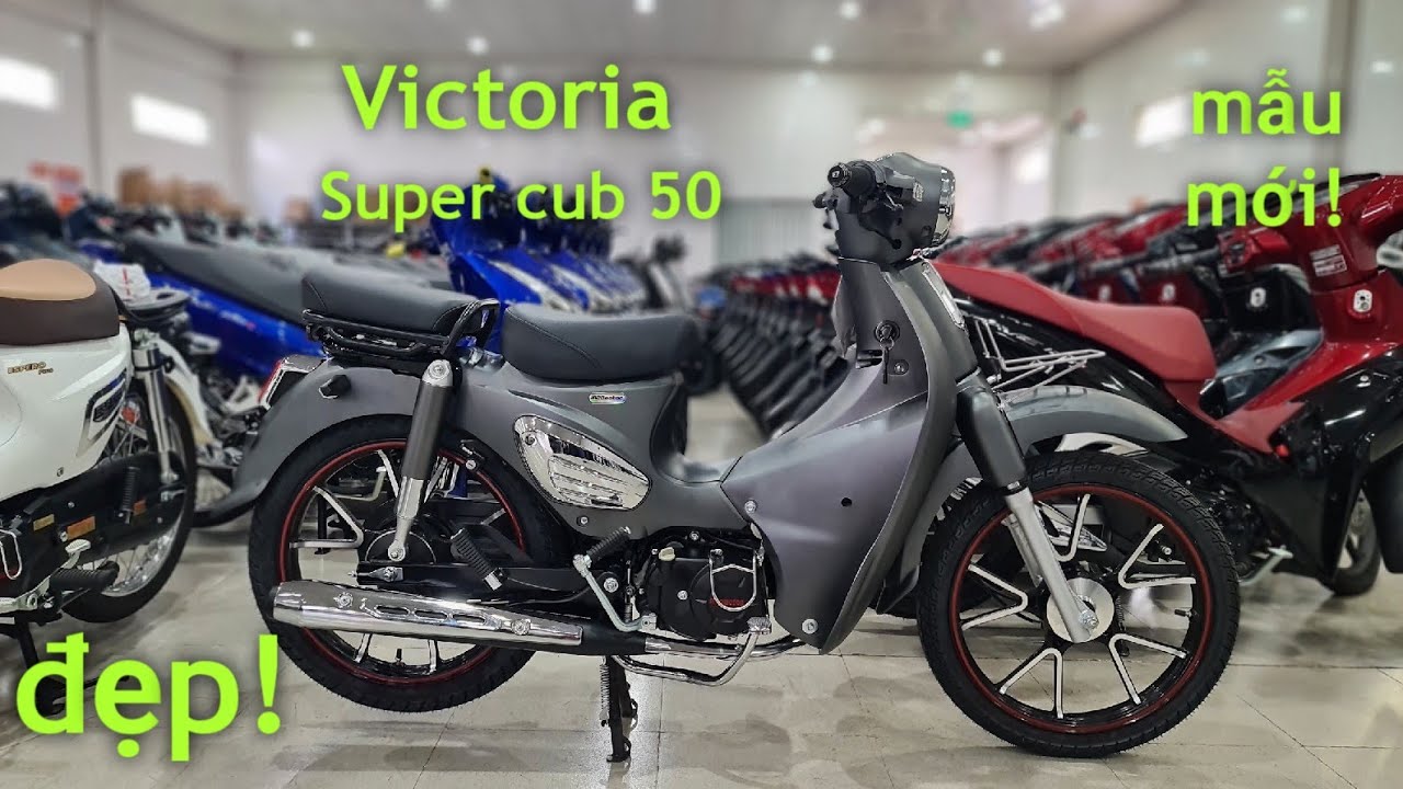 MỚI! Super Cup 50 màu Đen xám mờ VICTORIA tuyệt đẹp vừa về CH Mai Duyên + giá bán mới nhất.