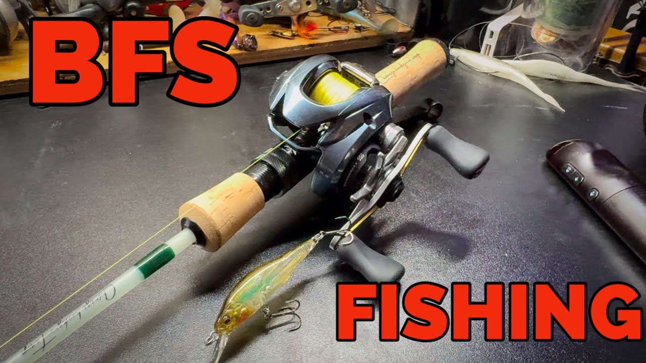Creek Fishing for BIG BASS with BFS Gear - Dankung Glassfin 473 & Aldebaran BFS Review