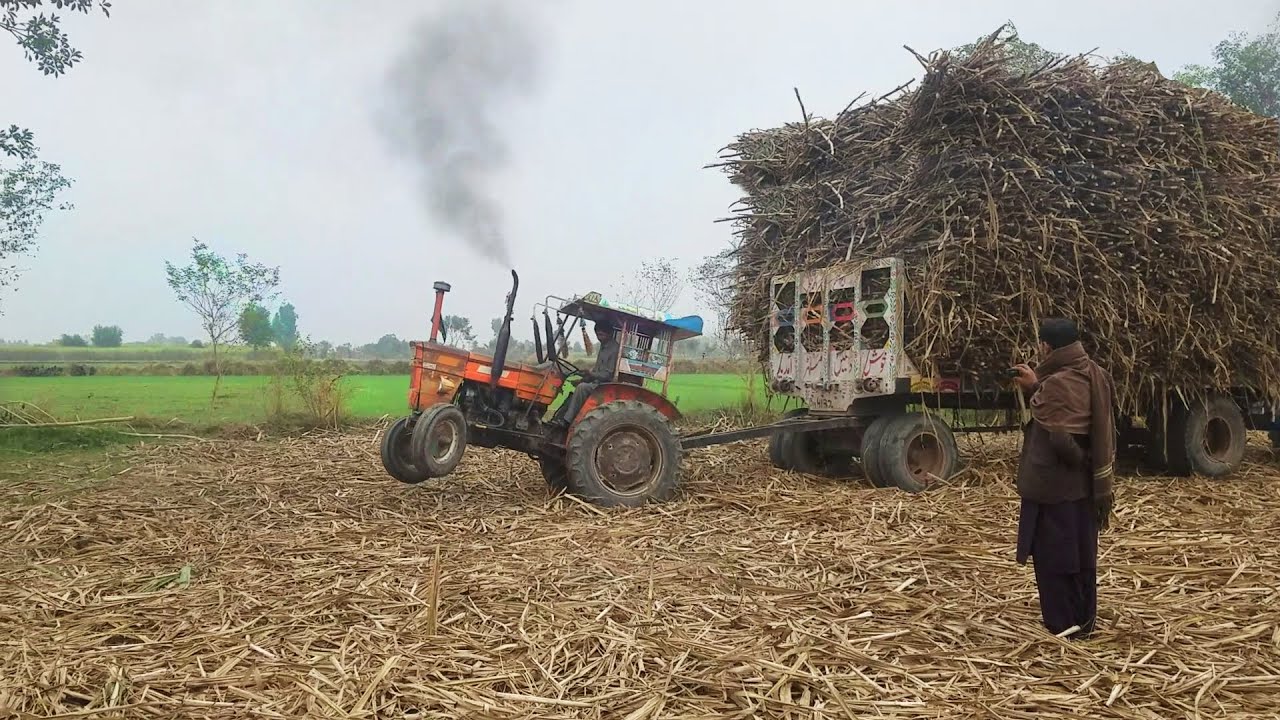 Fiat 480 1977 Trying To Pulling Heavy Load Trailer | Best Tractor Stunt
