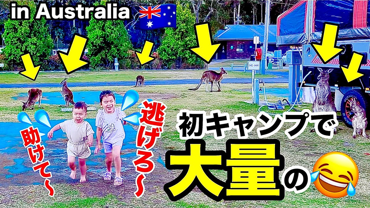オーストラリアでの初キャンプはレベチでした😂