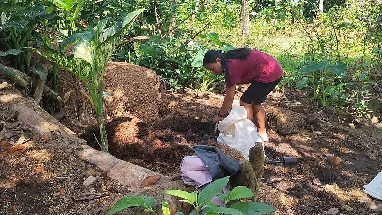 A Glimpse of my Countryside Life in the Philippines | SIMPLY Bhing🌿