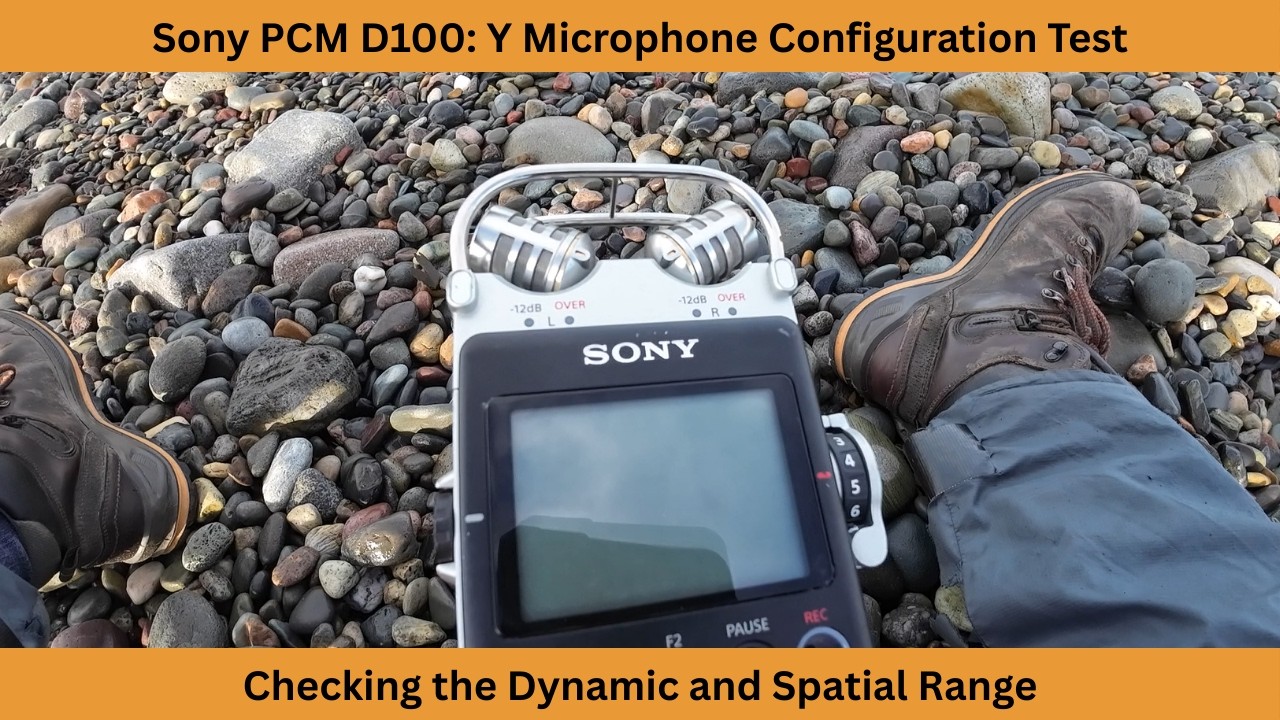 Sony PCM D100 Y microphone configuration test | Audio and Video footage example