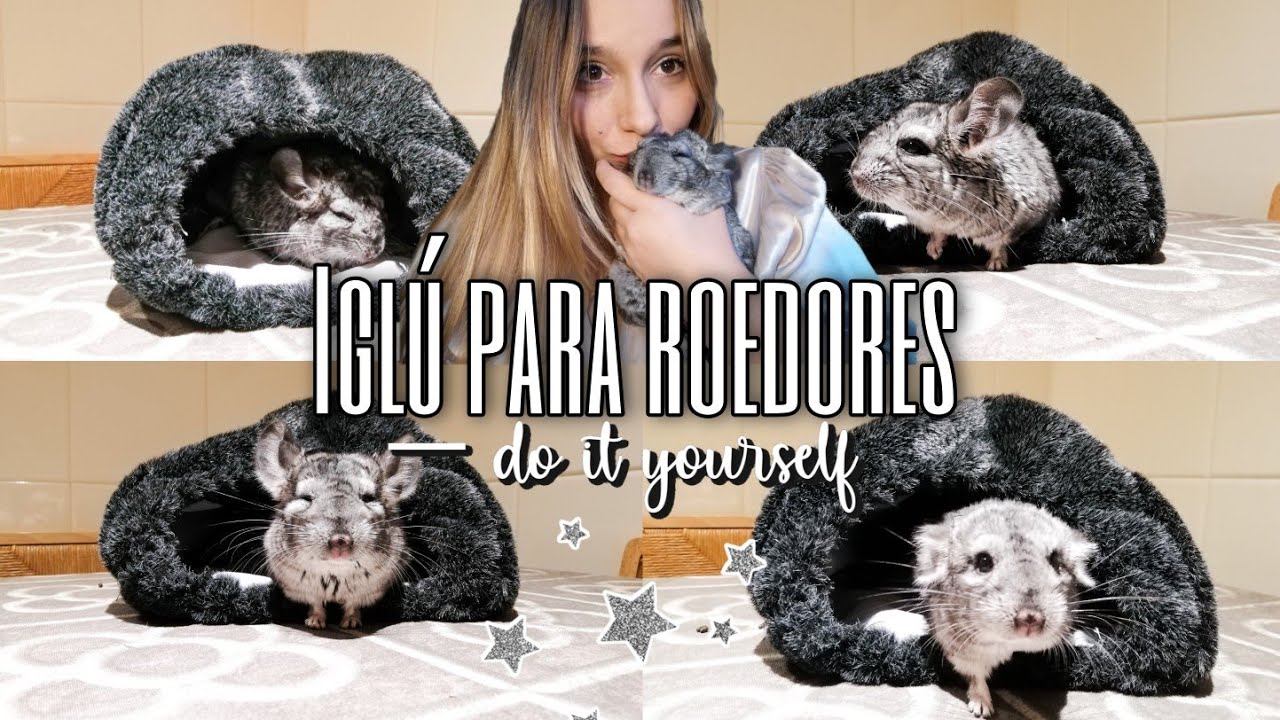 DIY - ¿CÓMO HACER  CASITA POLAR PARA ROEDORES ? 🐭| ⭐Fácil y rapido⭐| @cartemusia