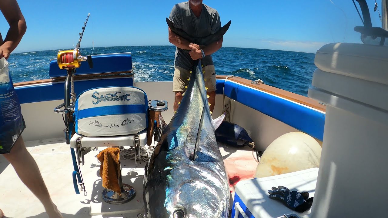 Giant Bluefin Tuna Fishing auf der Blue Rampage/Algarve, Bluefin Part 1