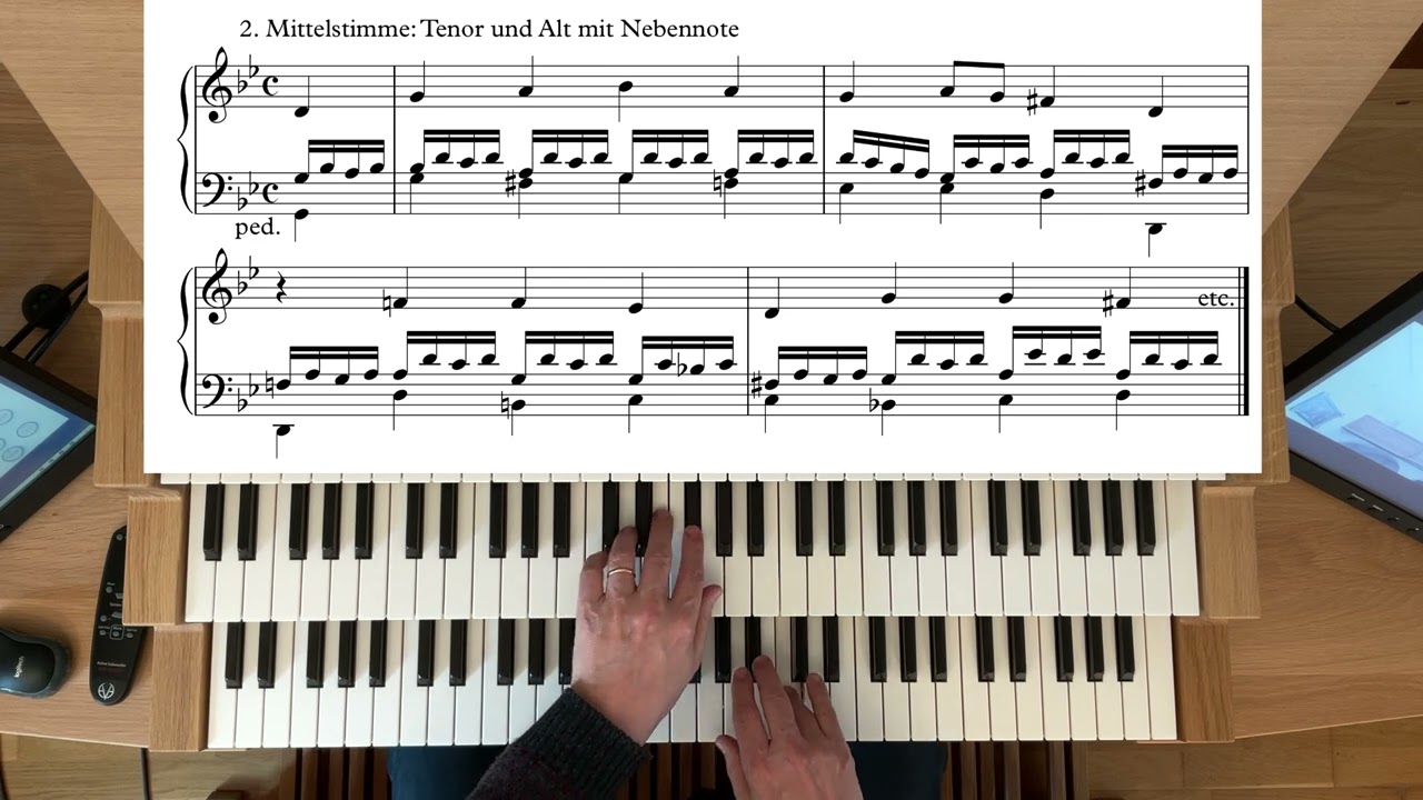 Orgelspiel im Gottesdienst - Choraltrios auf der Basis des vierstimmigen Satzes