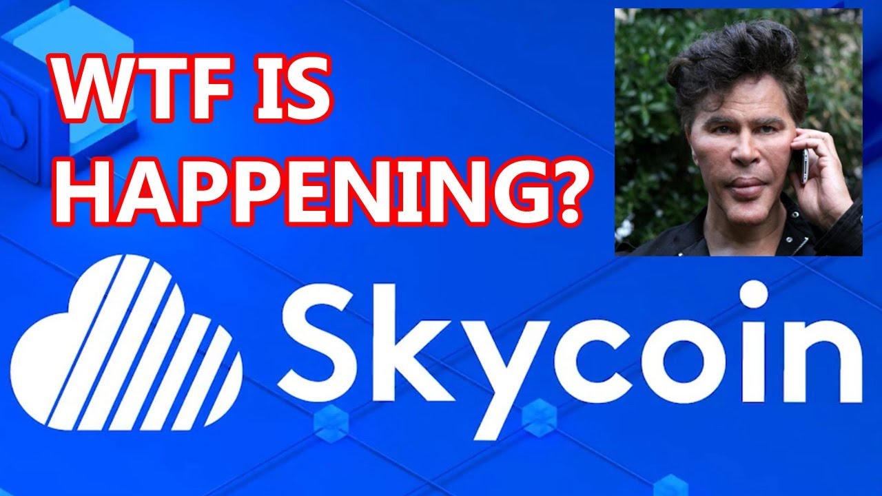 SKYCOIN FUD, LIES, TRUTH - Should you buy Skycoin? High risk - reward trade!