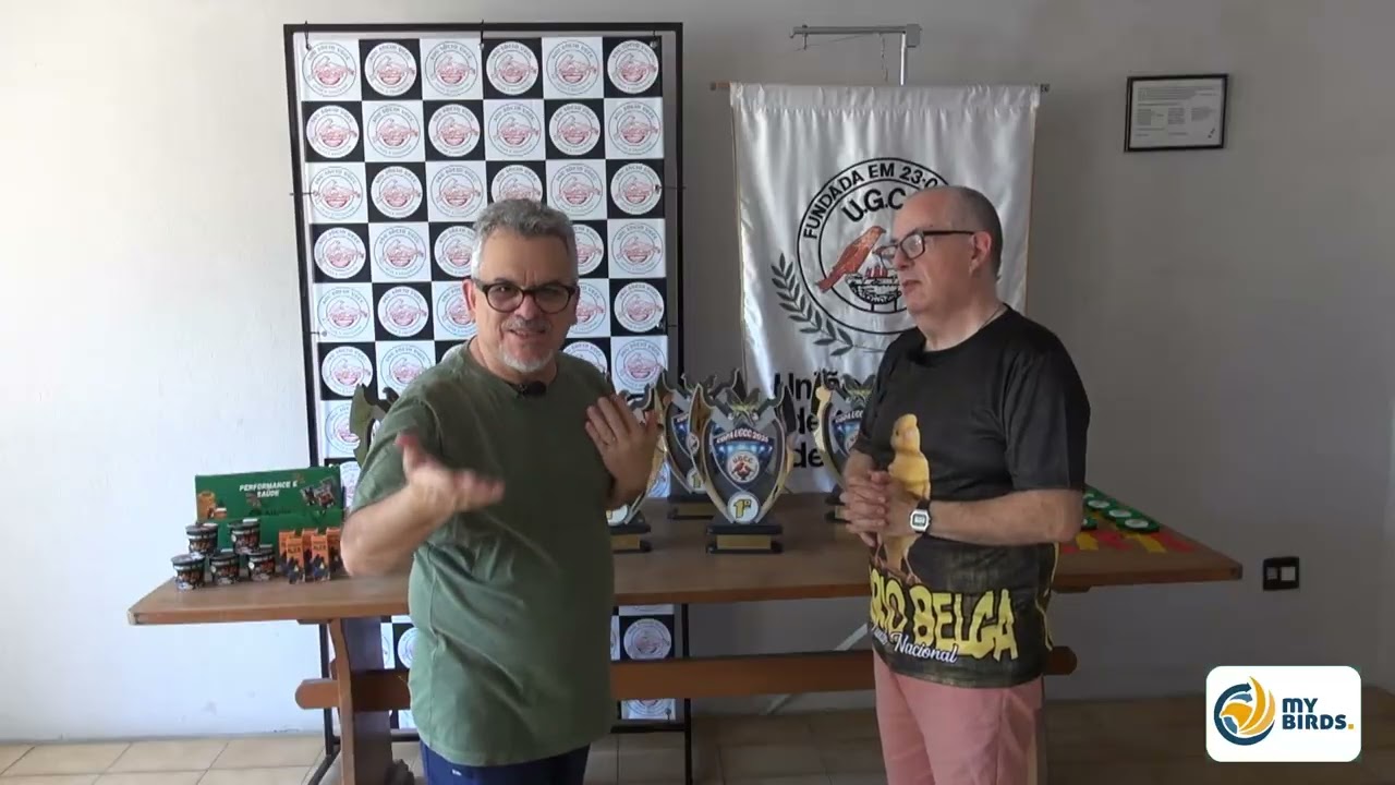 TORNEIO PORTO ALEGRE