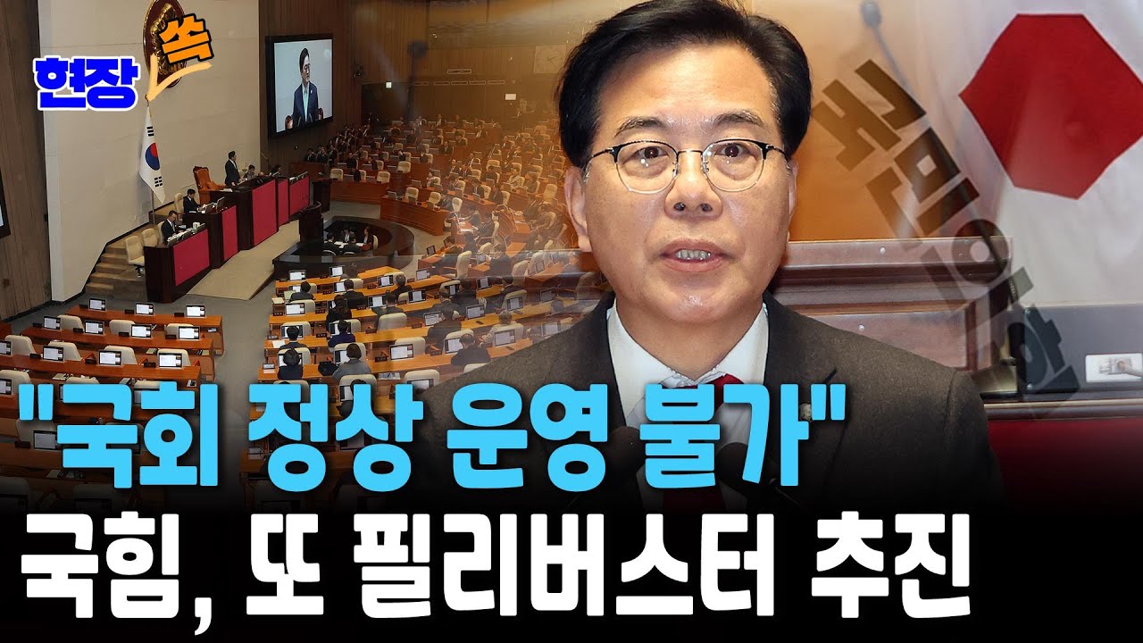 송언석, 전면 필리버스터 시사 