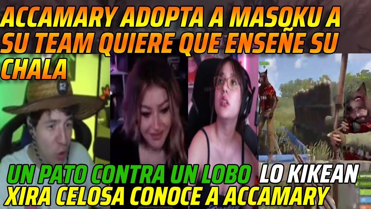 😂ACCAMARY ADOPTA A MASOKU A SU TEAM QUIERE QUE ENSEÑE SU CHALA😂XIRA CELOSA CONOCE A ACCAMARY😂