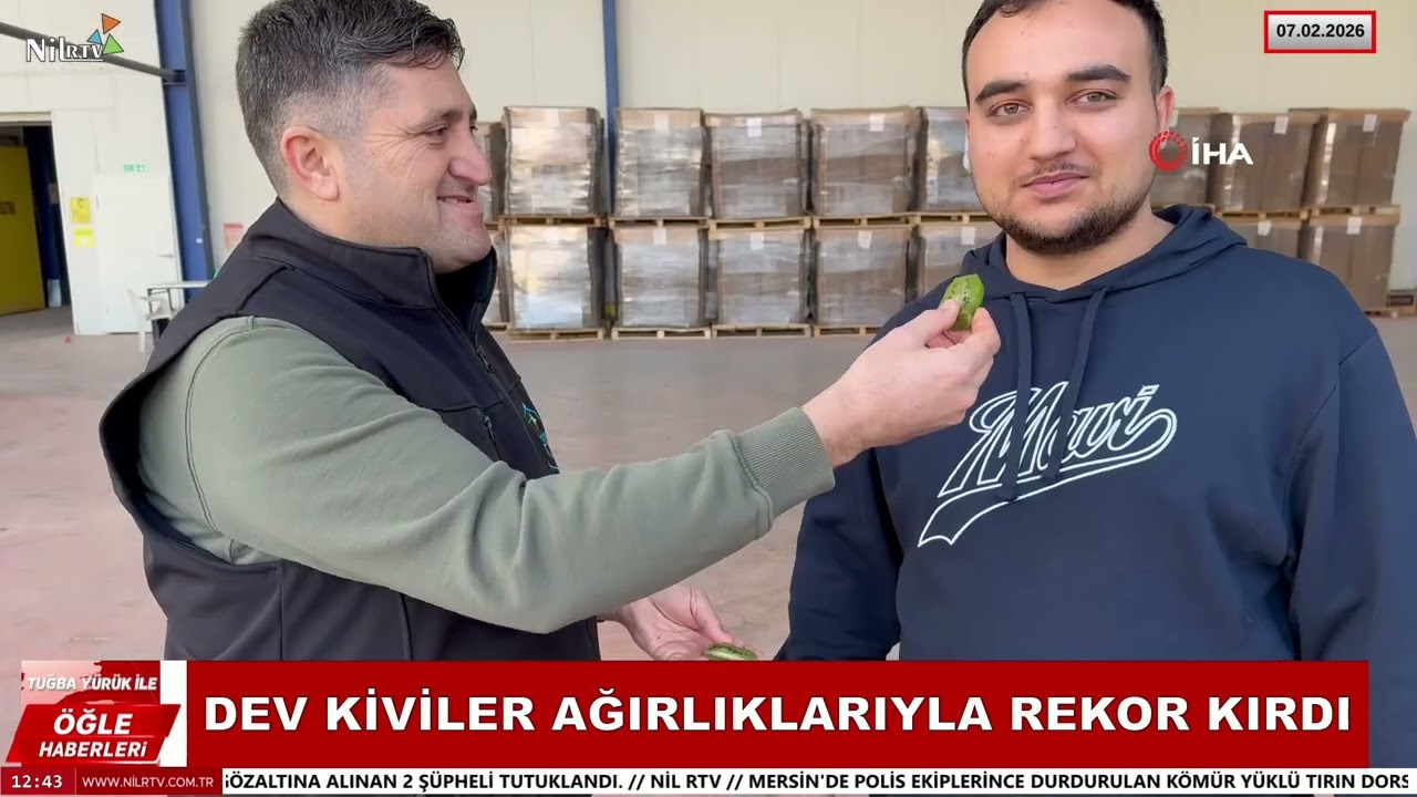 Bu Kiviler Gerçek mi? İznik'te Yetiştirilen Dev Meyveler