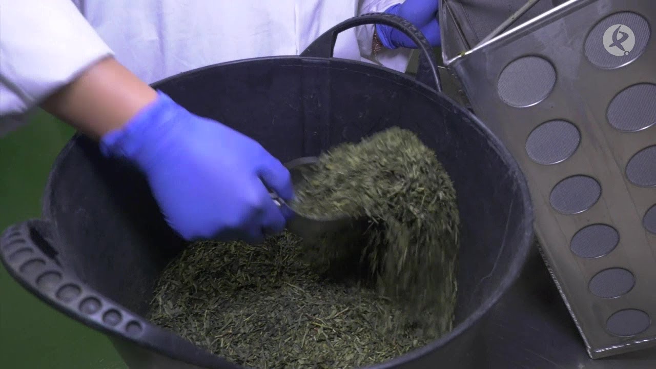 &iquest;Qu&eacute; es la KOMBUCHA? &iquest;C&oacute;mo se fabrica? | Made In Extremadura