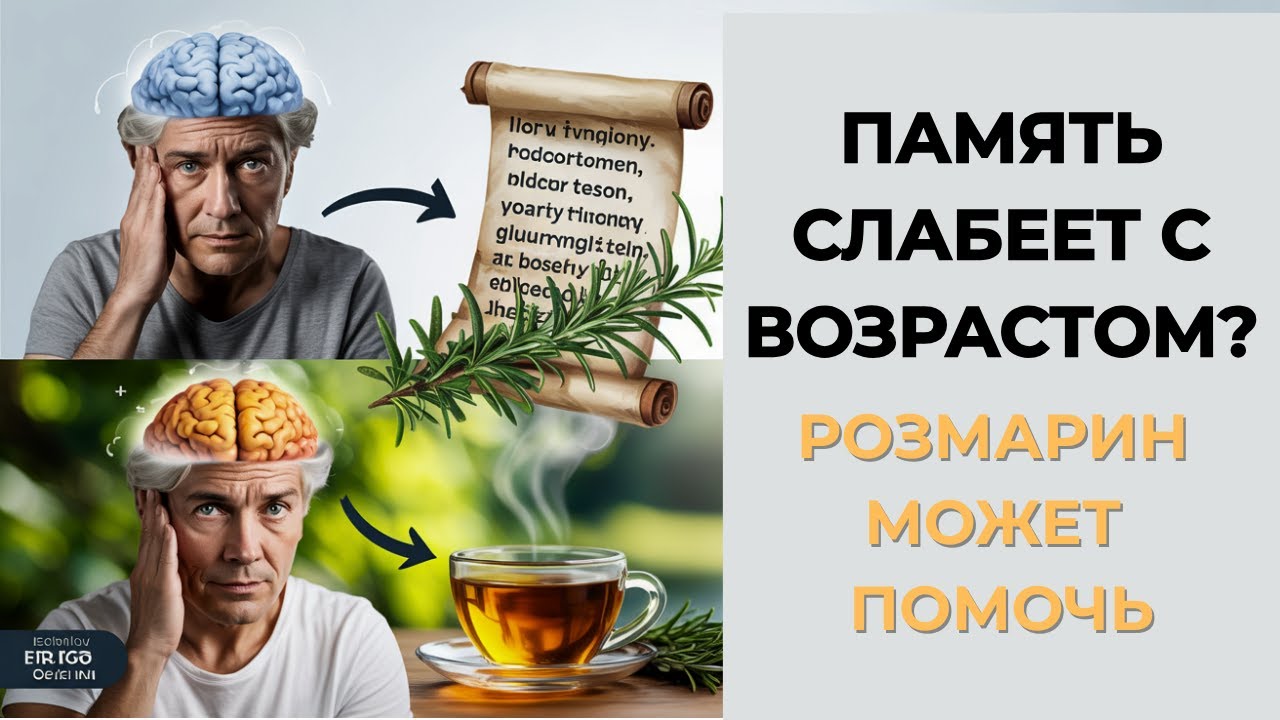 Розмарин - Природная Аптека После 60 | Память, Сердце, Печень | 4 Рецепта Чая