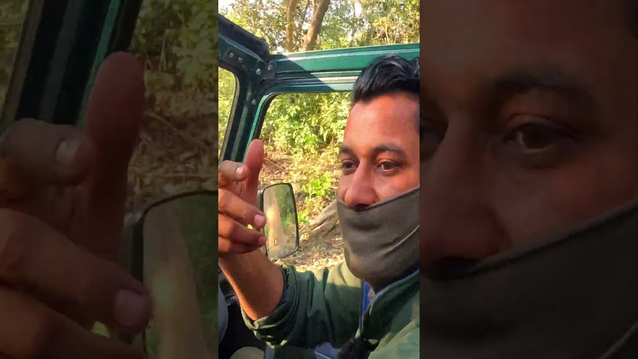 Tiger Attack Se Kaise Bache || Jim Corbett Tiger Attack Story By Yuvraj 