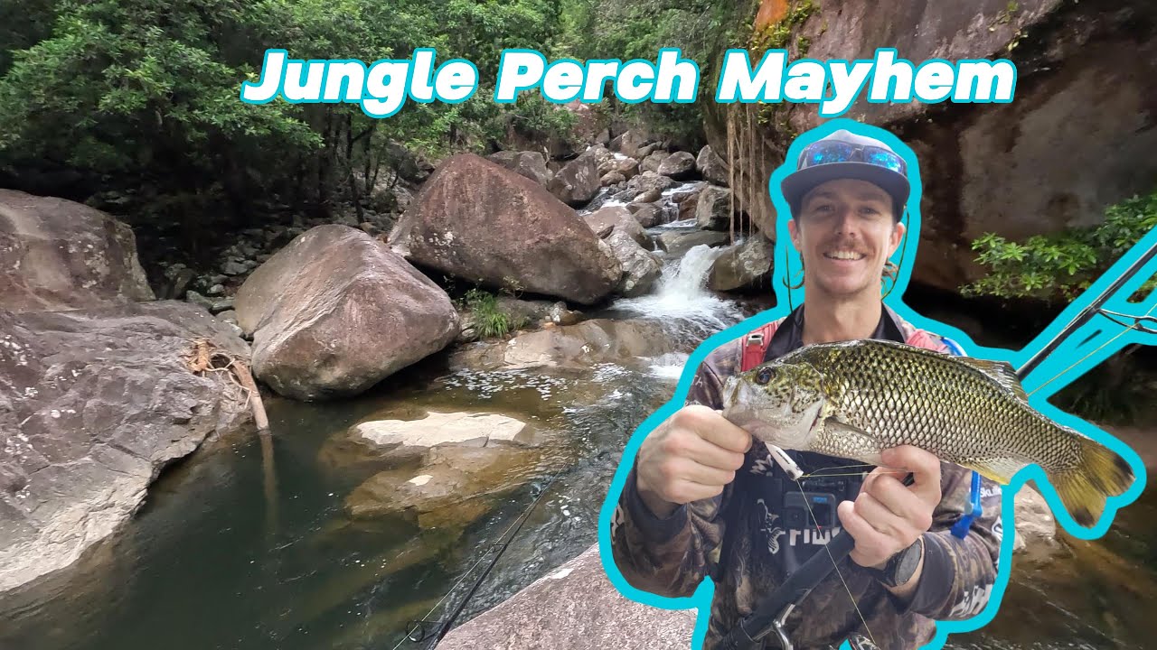 Jungle Perch Mayhem
