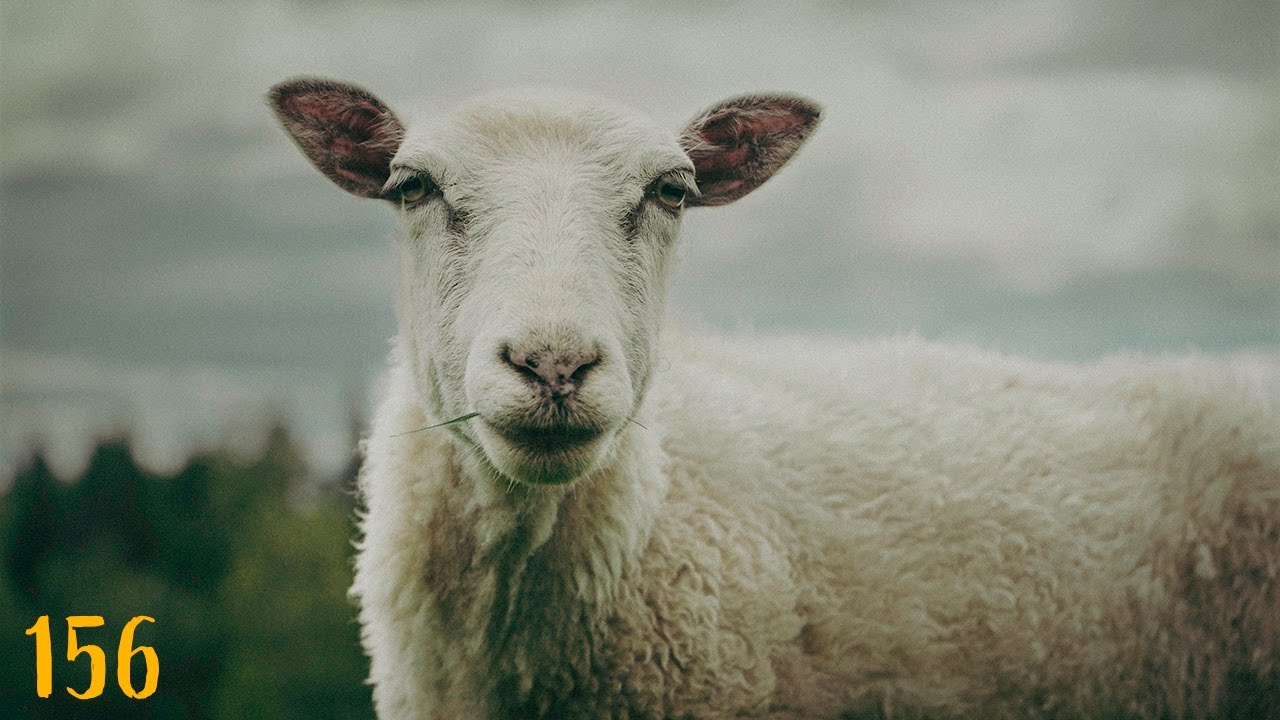 Something happened | Also every day life in rural Sweden