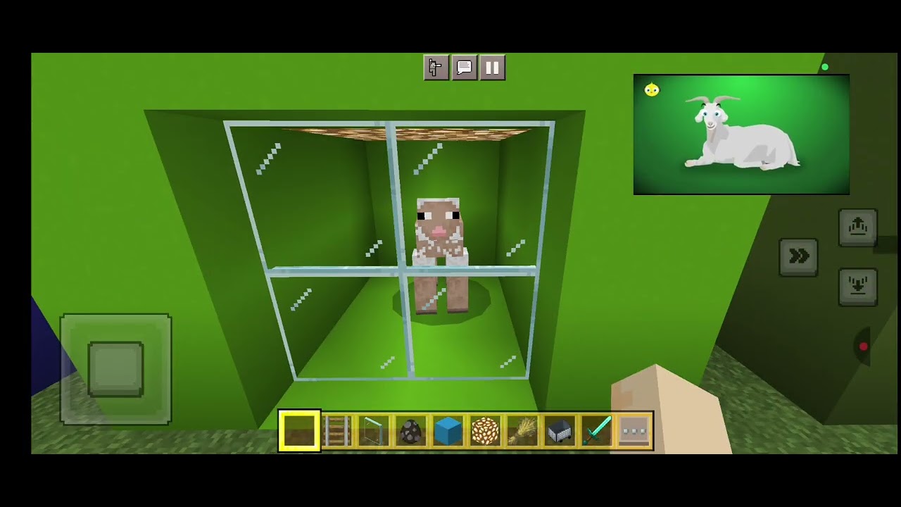 El Pollito Pio en Minecraft