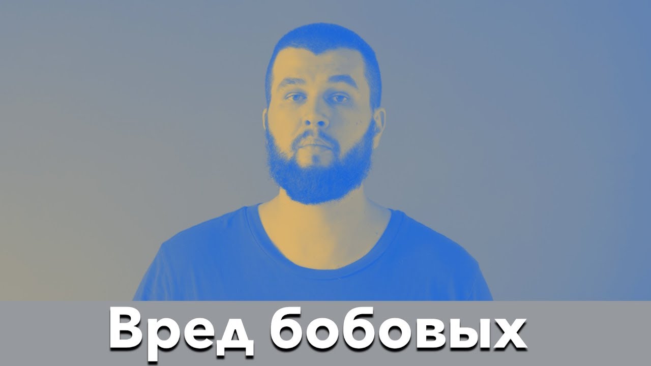 5 причин избегать бобовых наполнителей в сухих кормах для собак