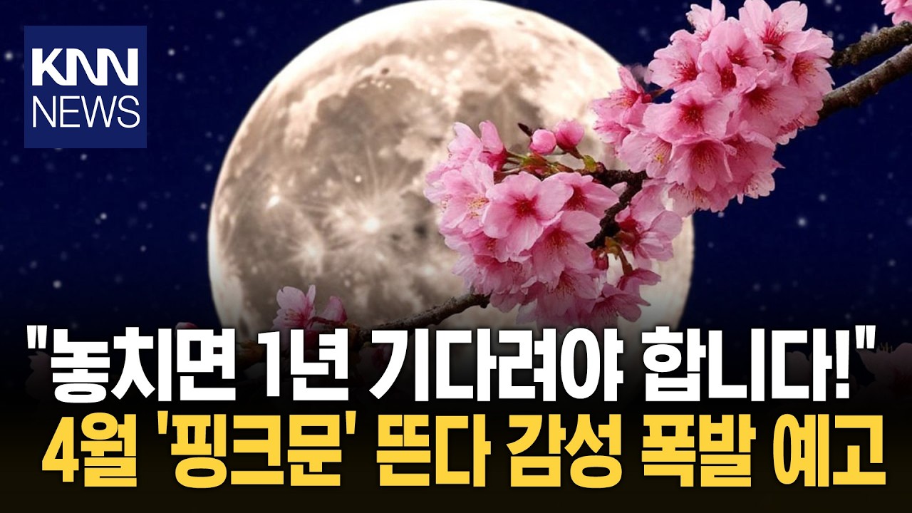 벚꽃과 보름달 함께 뜬다 '두근' 1년에 단 한 번 '핑크문' 뜬다 / KNN