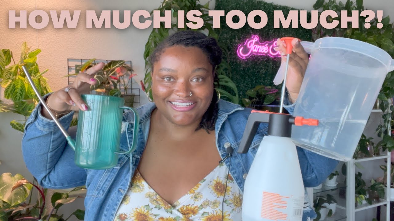 HOW TO WATER HOUSEPLANTS | with no drainage pots