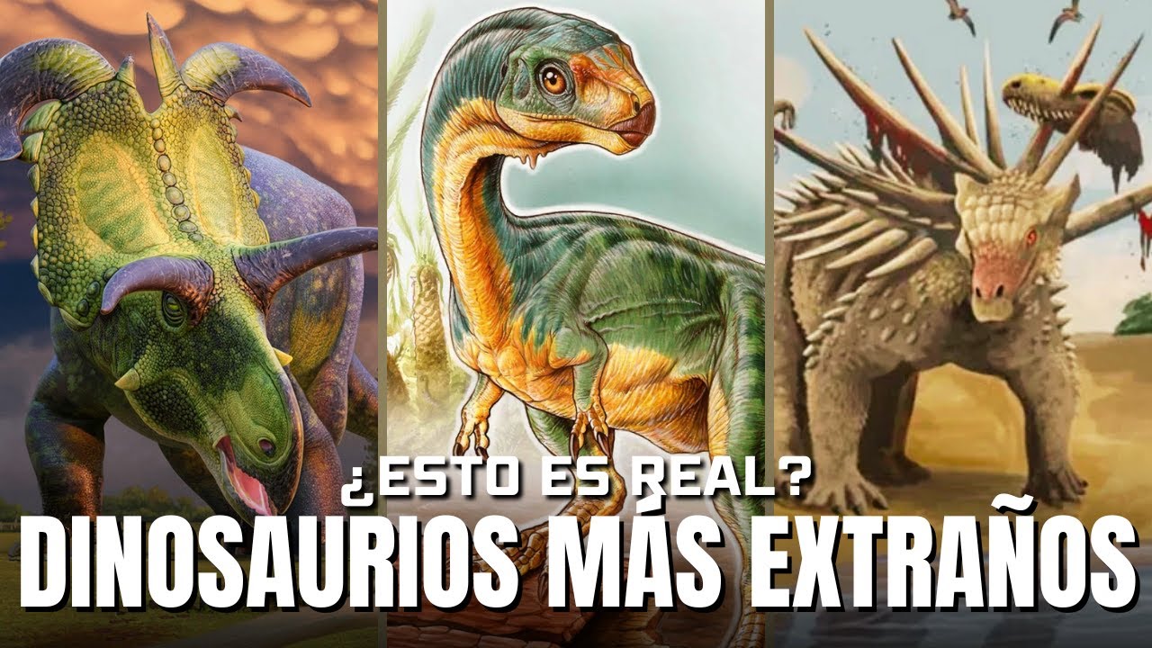 ¡Los dinosaurios más extraños y raros que jamás existieron!