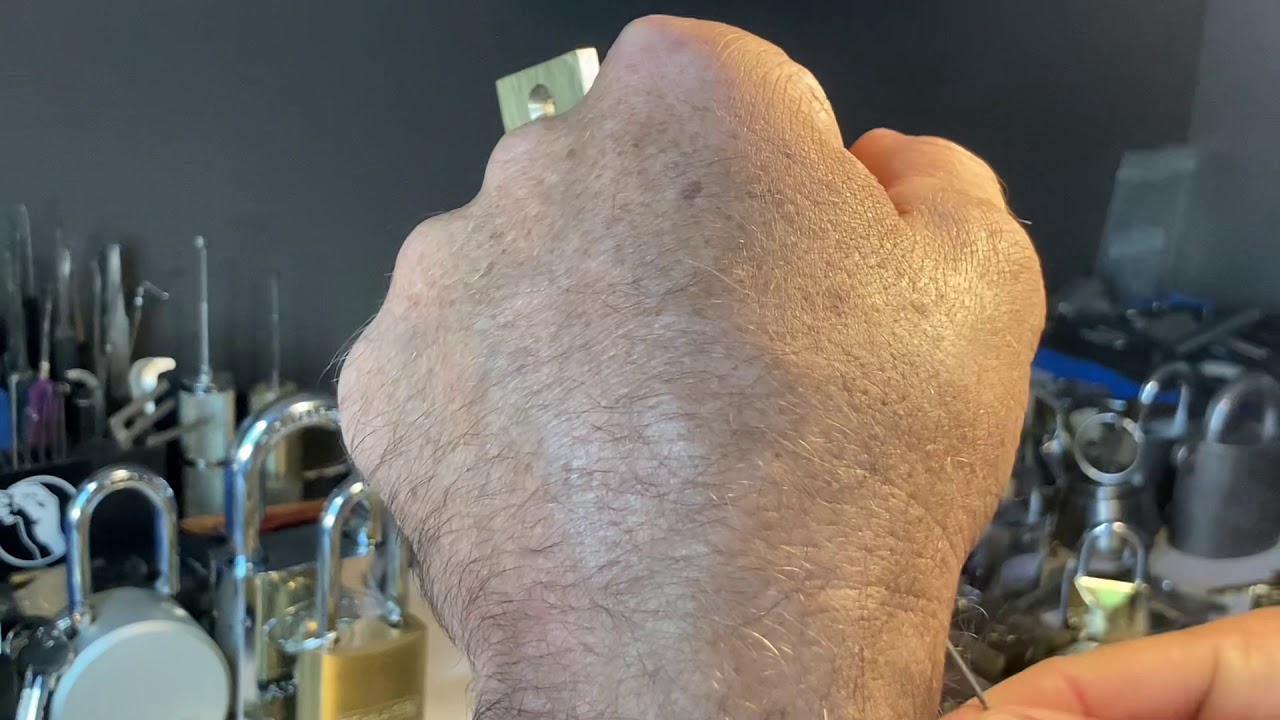 Chubb Detector picked and gutted
