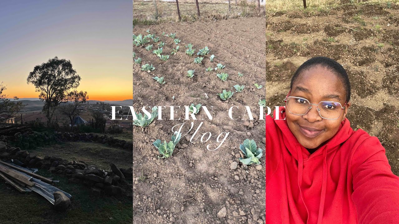 EASTERN CAPE VLOG | PART2 | all saints, gardening 👩🏽‍🌾, town tour, going back to cape town 🚌 + more