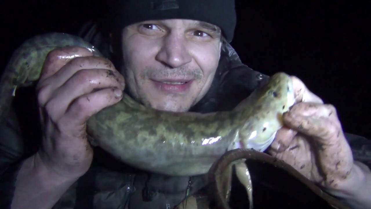 Ловля налима на стукалку с 1 по 2 мая 2018 Как поймать налима Весь процесс ловли Рыбалка на налима