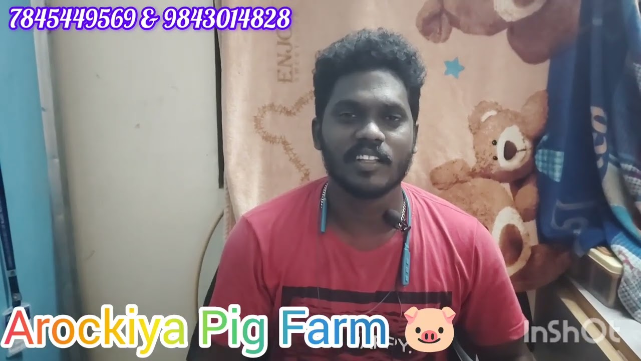 Bussiness ah Job ah Bussiness idea 💡