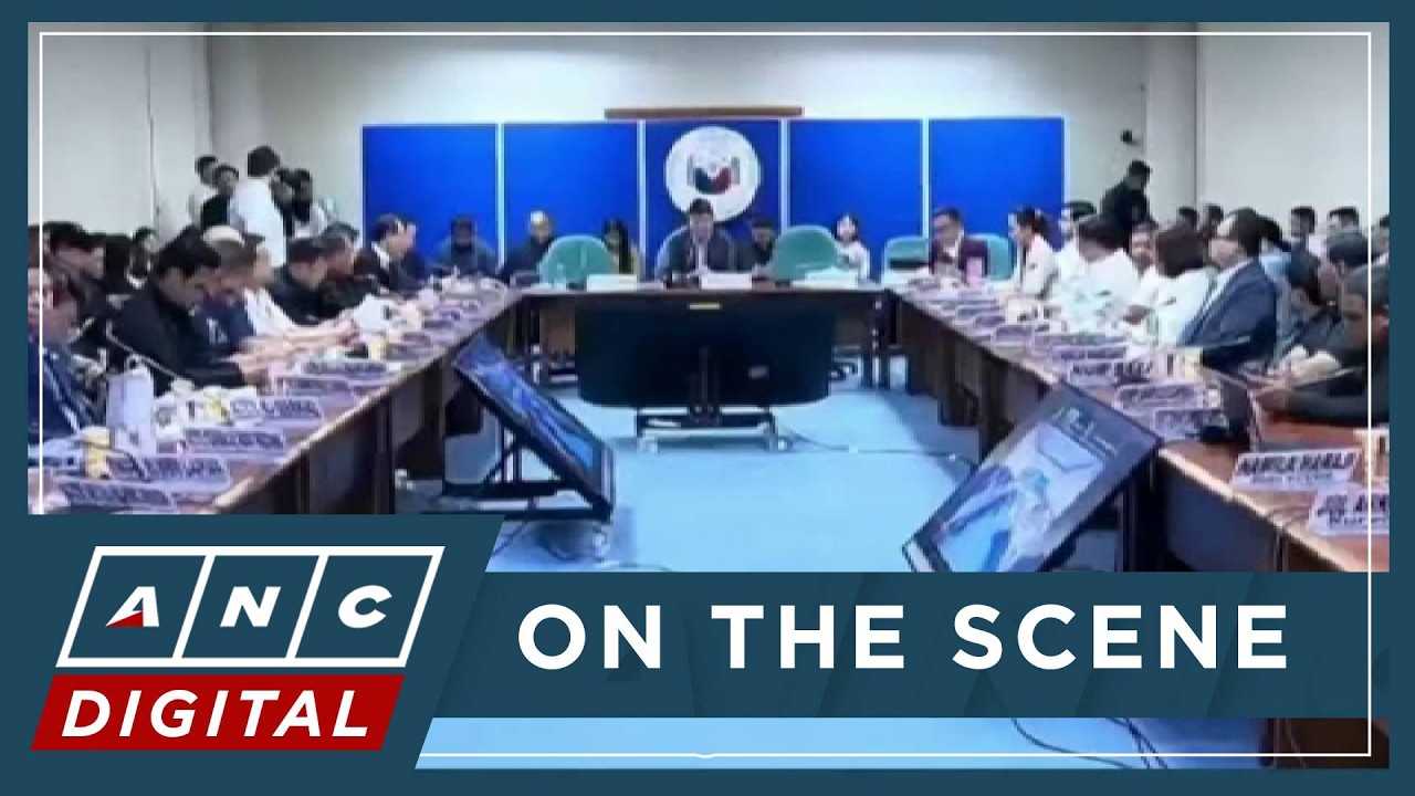WATCH: Senate Committee on Public Services hearing on MV Trisha Kerstin 3 sinking | ANC