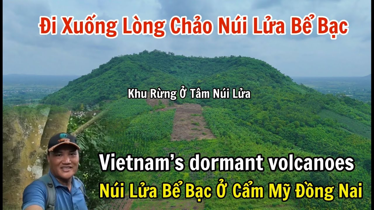 Đi xuống lòng chảo núi lửa Bể Bạc ở Cẩm Mỹ Đồng Nai: khu rừng bên dưới miệng núi lửa đồi Bể Bạc.