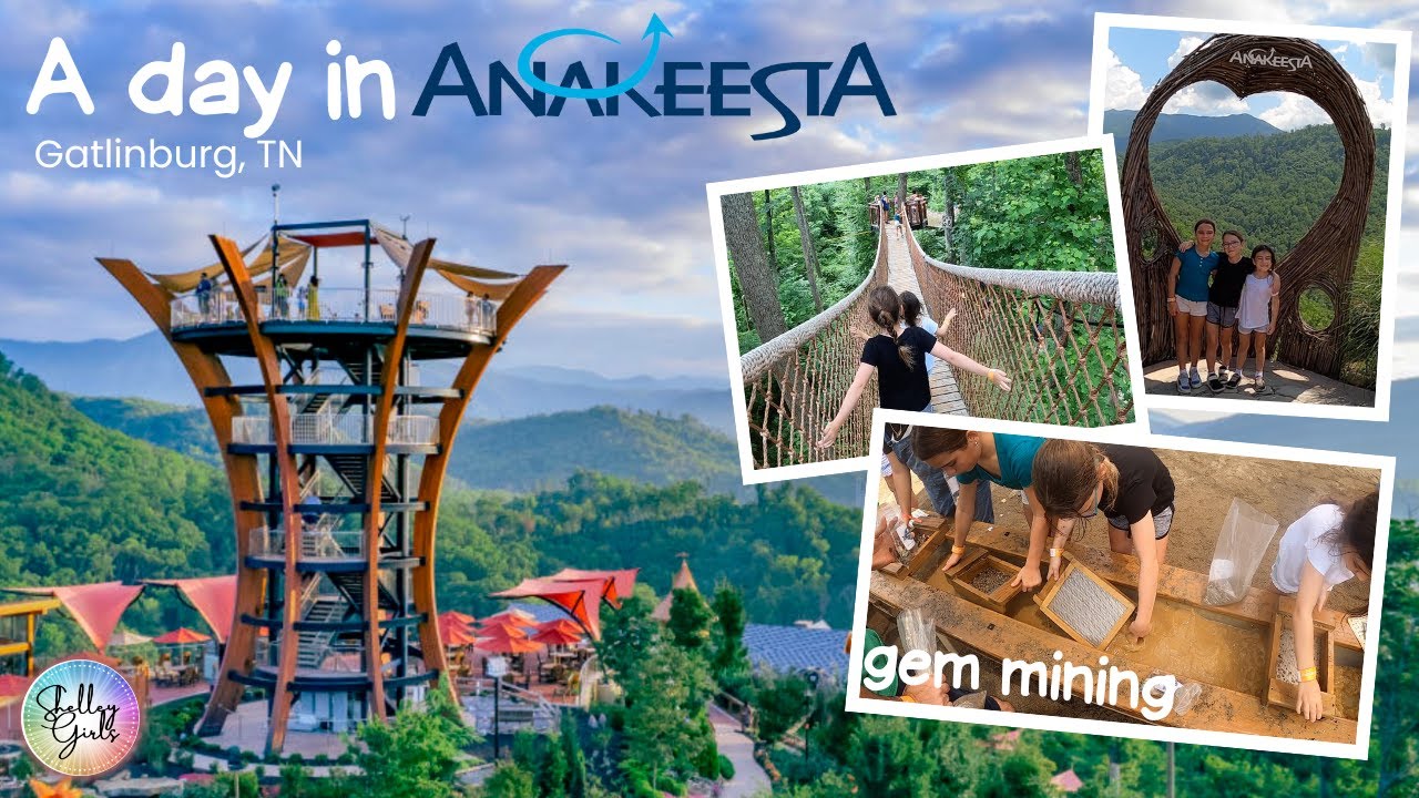 Exploring Anakeesta: Adventuring Through Tree Bridges & Gem Mining! #anakeesta #kidsfun