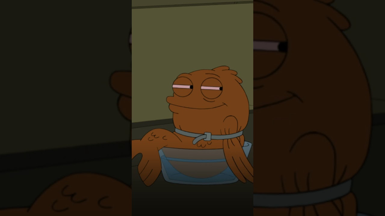 Rogu, Klaus, Steve, and Jeff get high in a shed #AmericanDad | TBS
