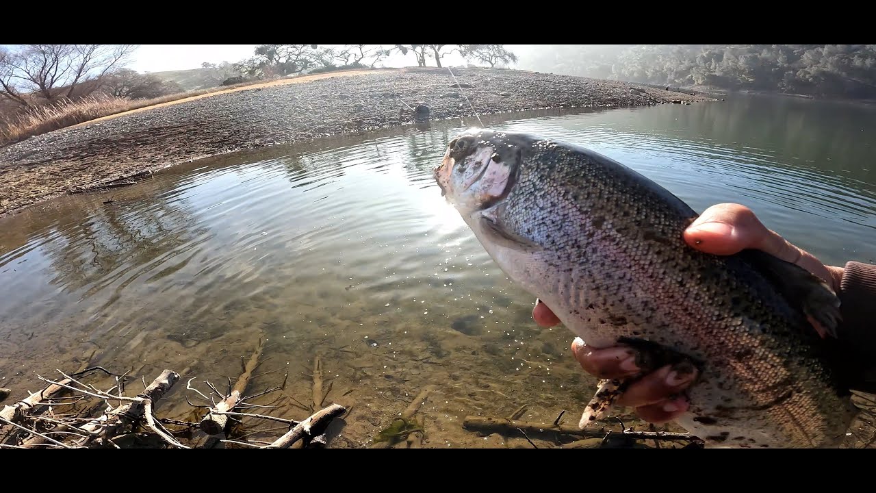 Fishing a giant school of trout - Nonstop action