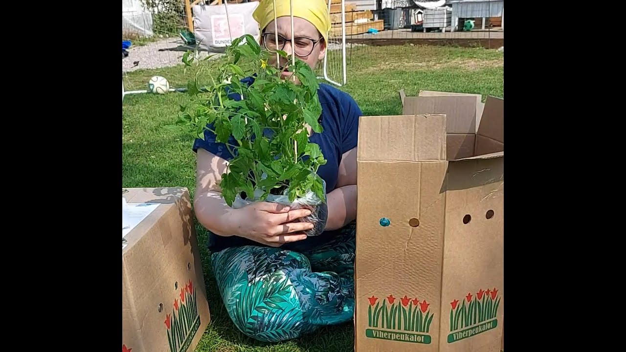 Viherpeukaloiden tilaus saapui 🌹🍓  Mitä sinne takapihan koppiin saapuukaan? 🤔 Omakotitalon puutarha