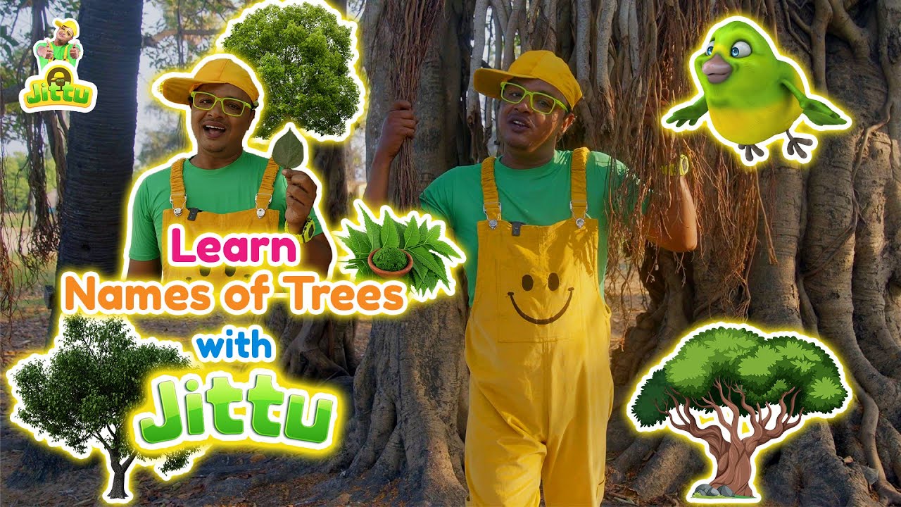 Learn the Trees Names with Jittu | Discovering Trees with JITTU #trees #nature #videos #treevideos