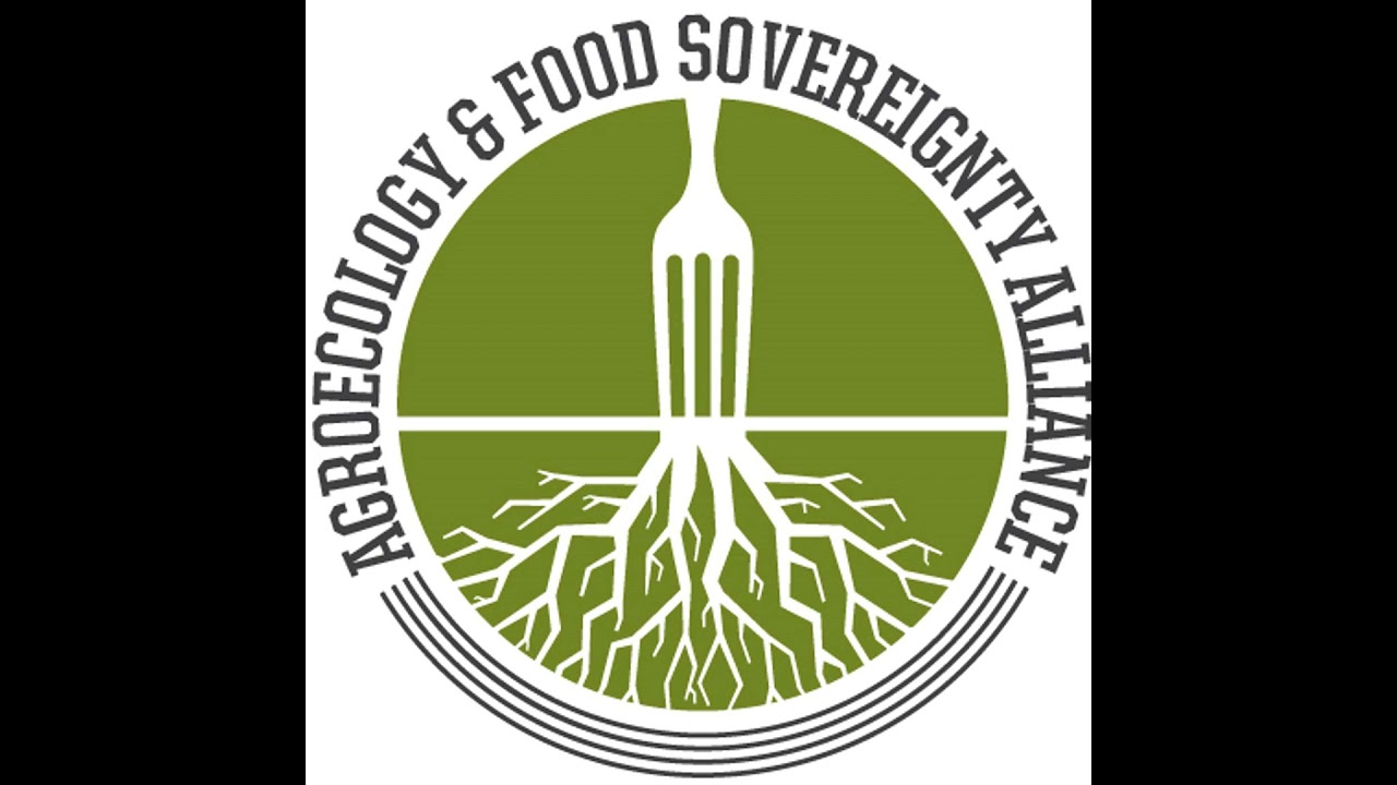 Episode 8 - Raj Patel & Tammi Jonas: The role of the state in our food systems and building the c...