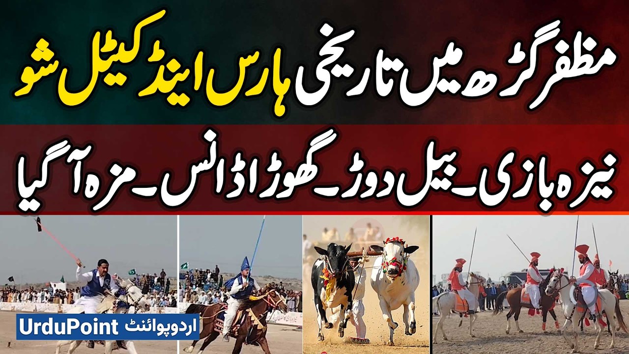 Muzaffargarh Historic Horse And Cattle Show 2026 | Tent Pegging, Bull Race, Horse Dance