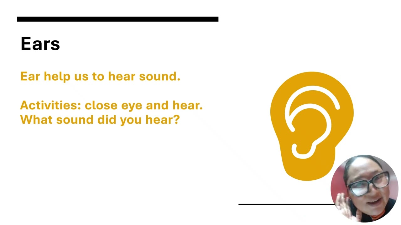 Five Sense Organs