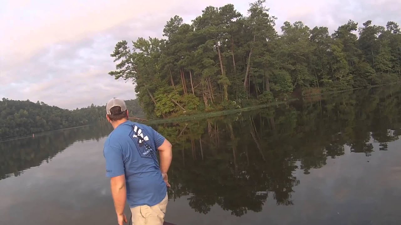 Alabama fishermen rescue kittens from Warrior River