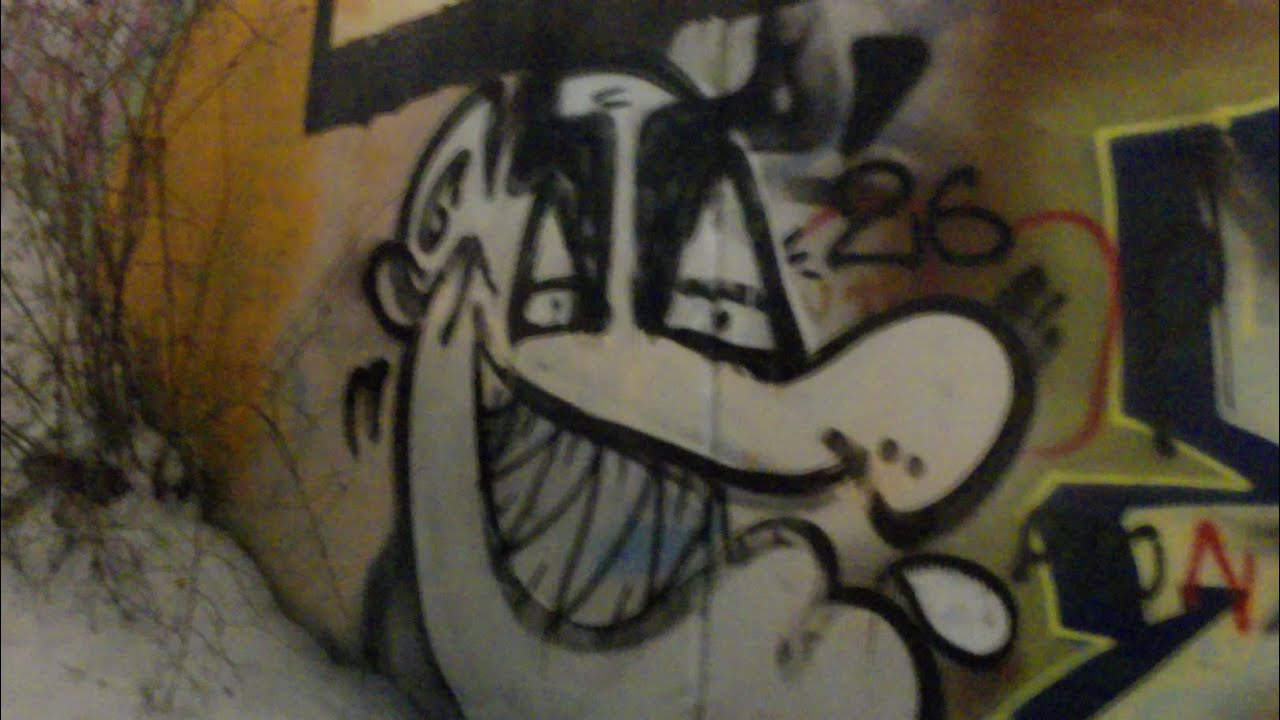 Graffiti bombing in traine line in Gdansk city 