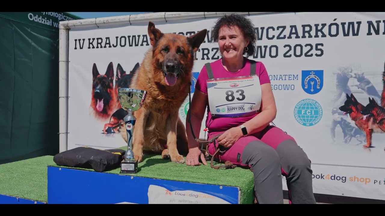 IV Krajowa wystawa owczarków niemieckich | Strzegowo 2025