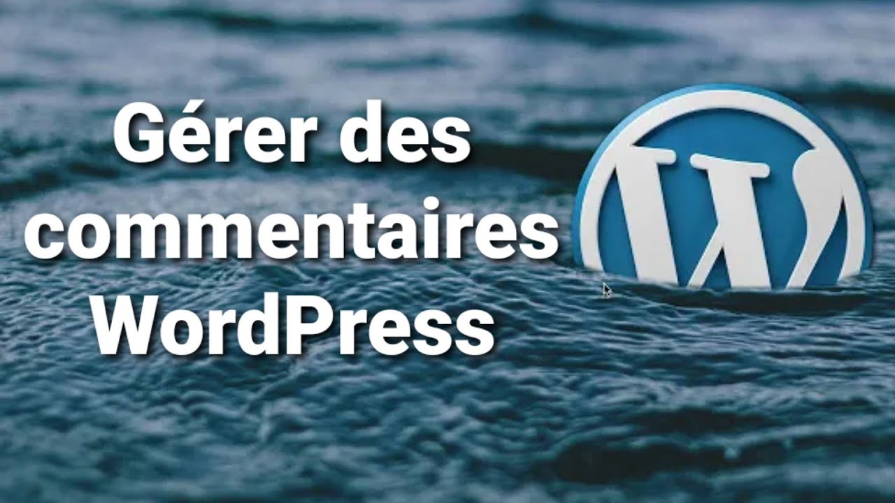 G&eacute;rer les commentaires WordPress