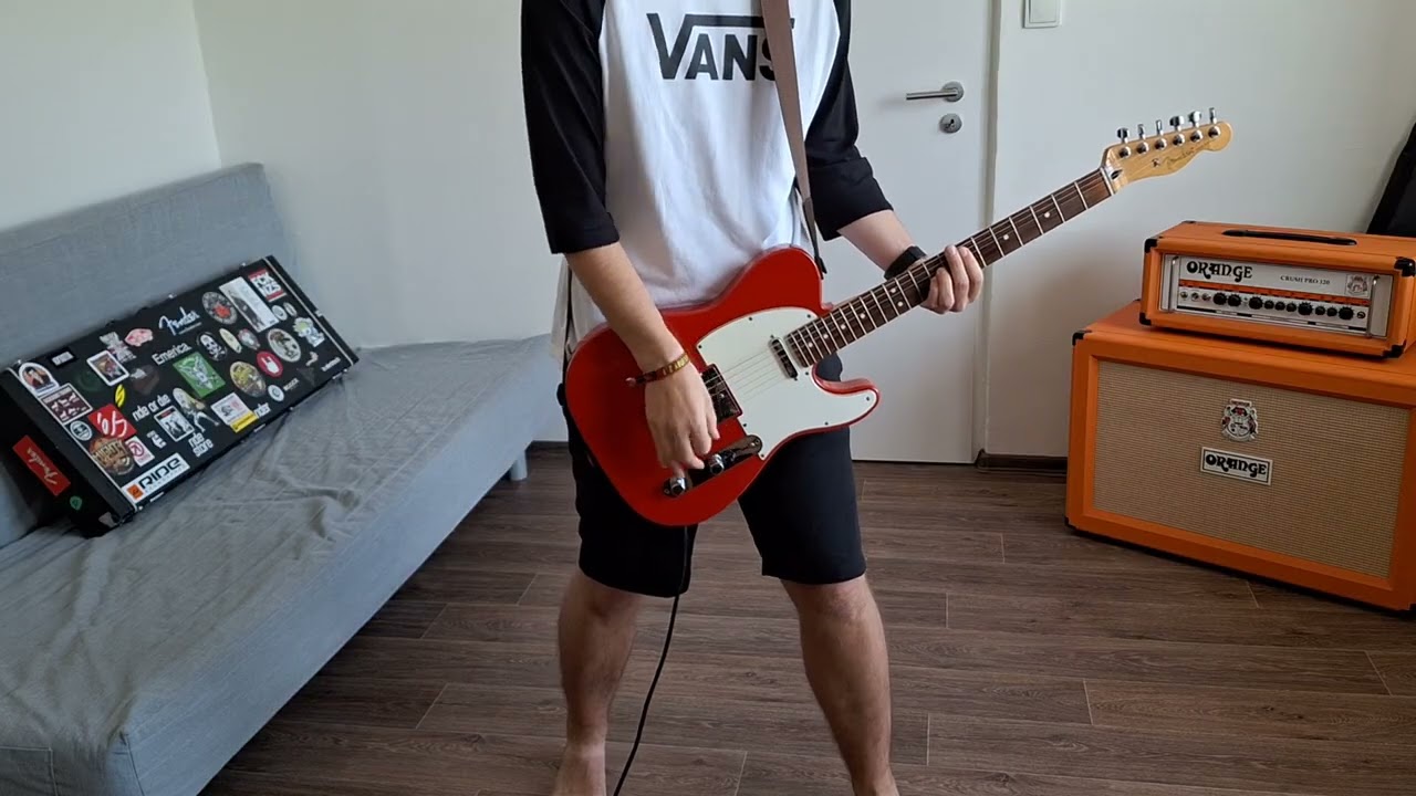 The Distillers - Coral Fang (Guitar Cover)