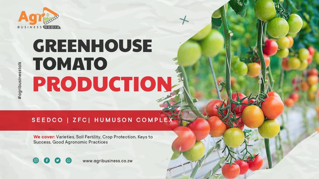 Greenhouse Tomato Production Webinar