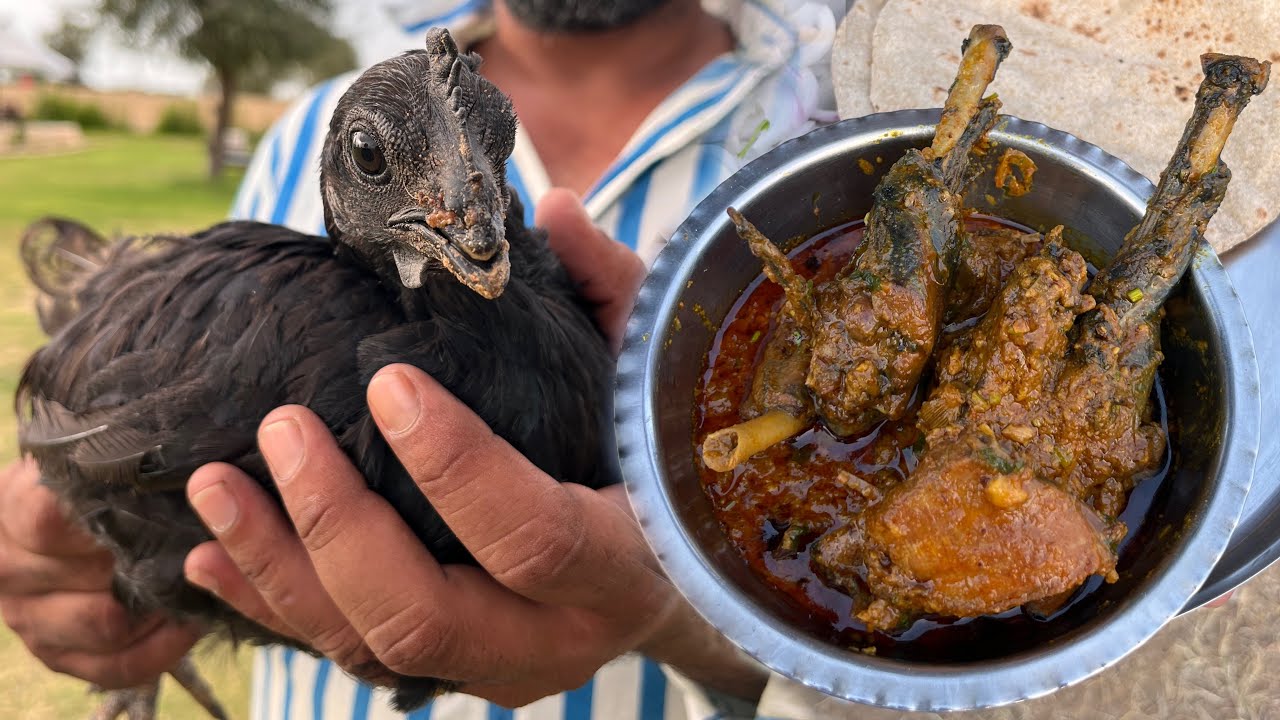 कड़कनाथ बटेर Fighter मुर्ग़ा देसी मुर्ग़ा बकरा अब सब मिलेगा एक जगह In Jaipur | Robins Kitchen Jaipur