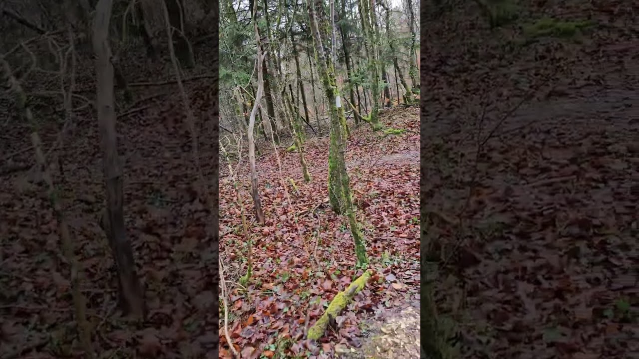 Verdun, no mans land outside Fort Vaux