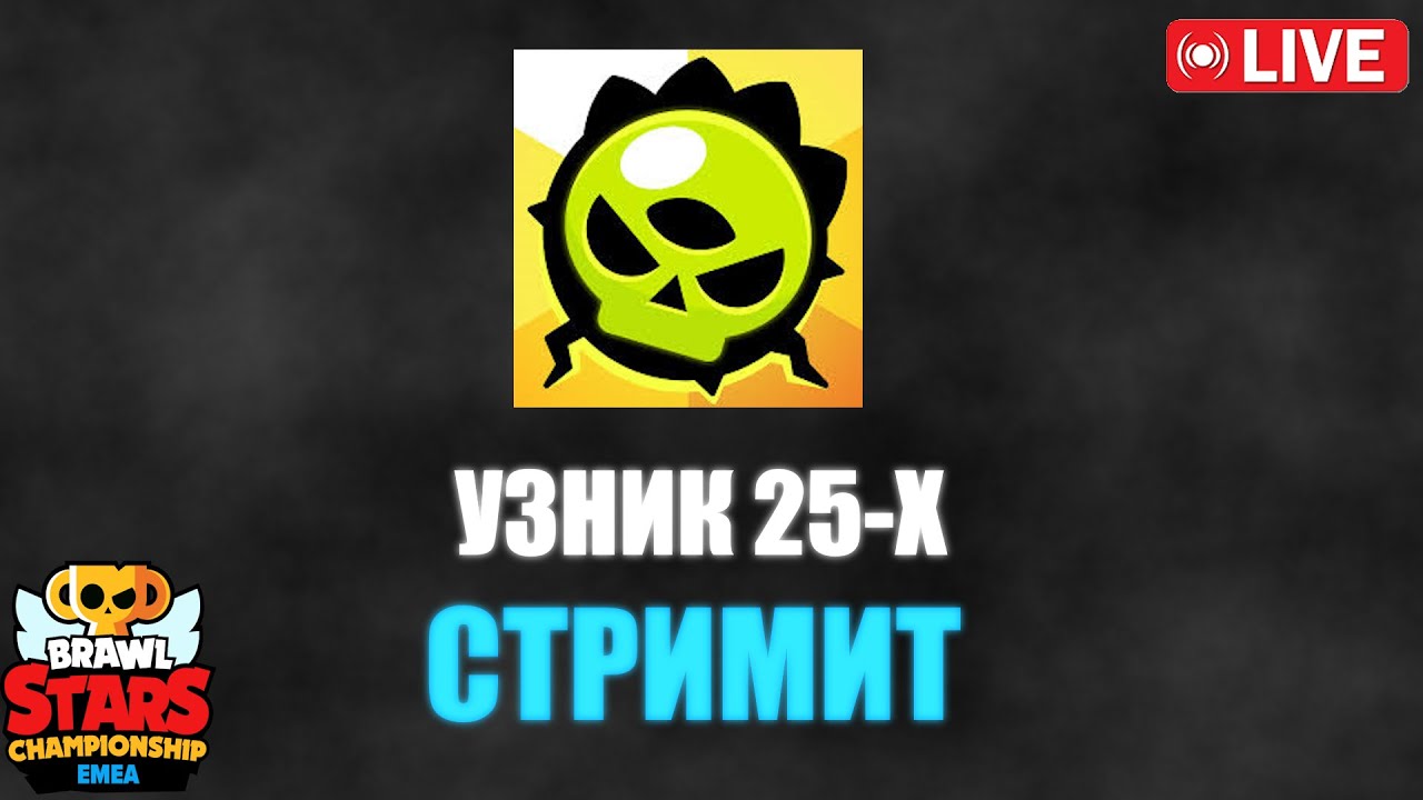 ZETA DIVISION - ABC - Effort Result - February Monthly Finals East Asia 2026 OMG Спекр HD