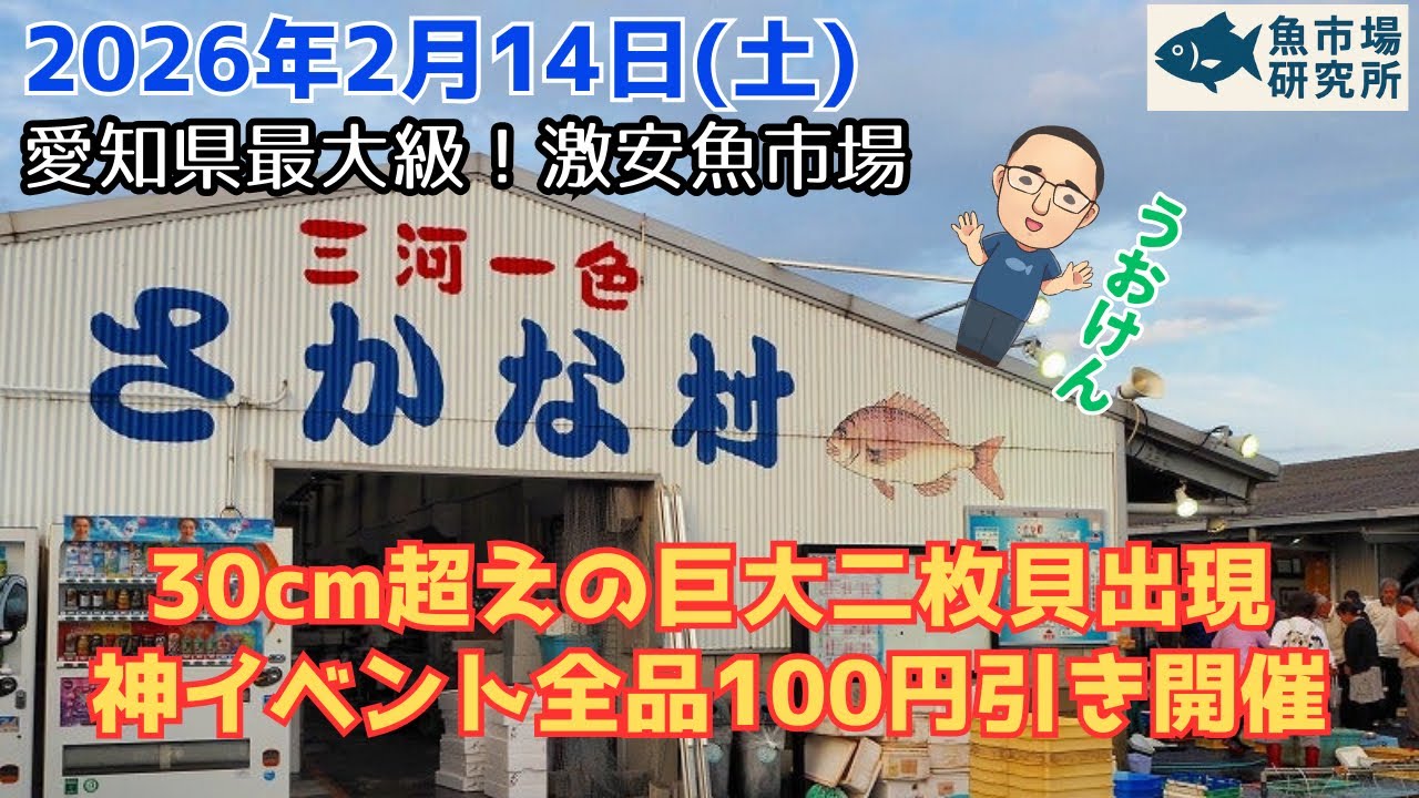 【衝撃サイズ】30cm超えの巨大二枚貝が出現『一色さかな村』神イベントで全品100円引き