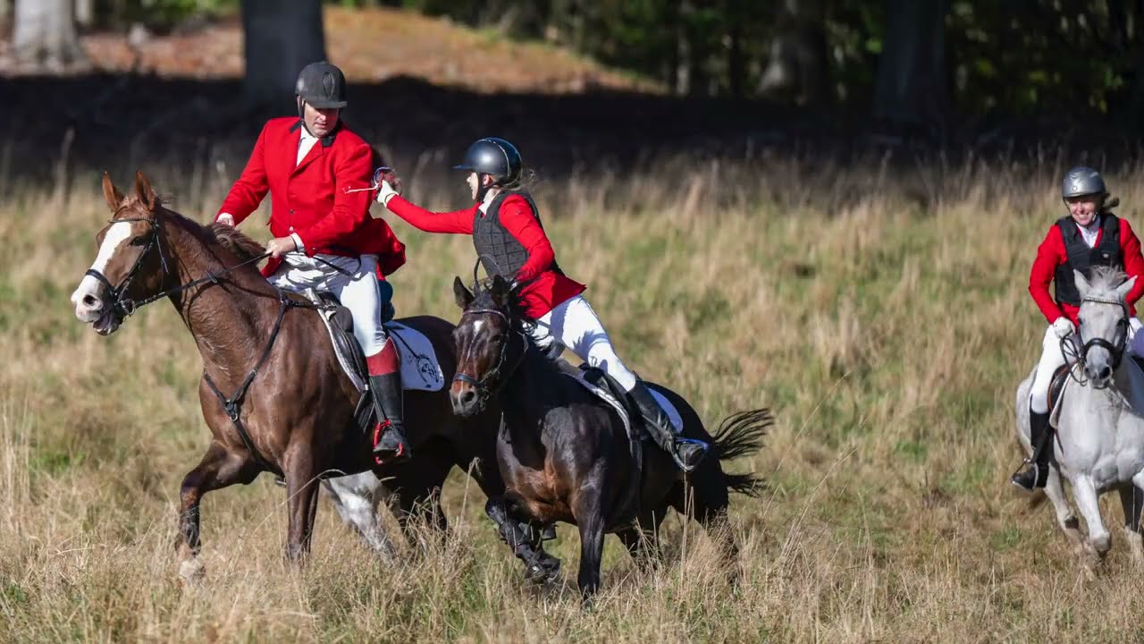 Pony rævehalejagten 2025 Up to 4K