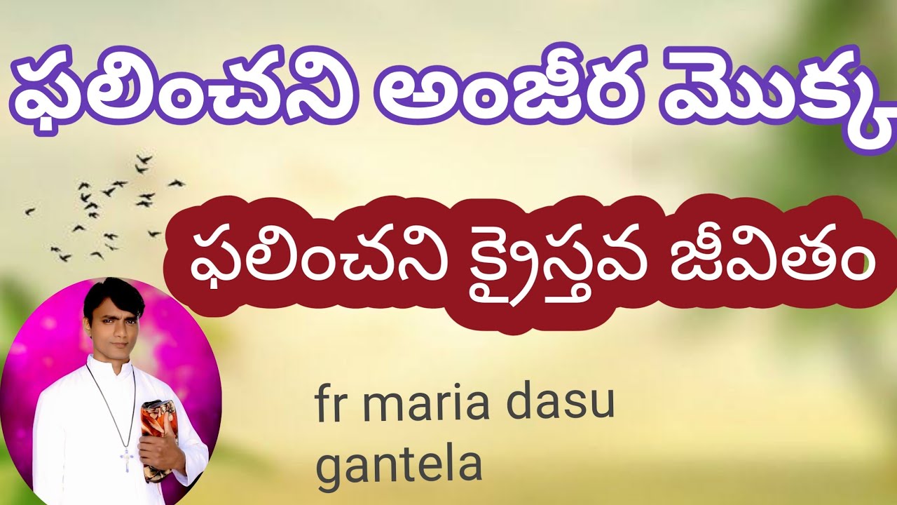 ఫలించని క్రైస్తవ జీవితం, అంజీర మొక్క#తెలుగు#telugucatholic#fr mariadasu gantela#telugu#గంపలగూడెం#